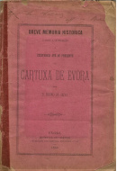 Livros/Acervo/S/SILVAS D BRUNO DA